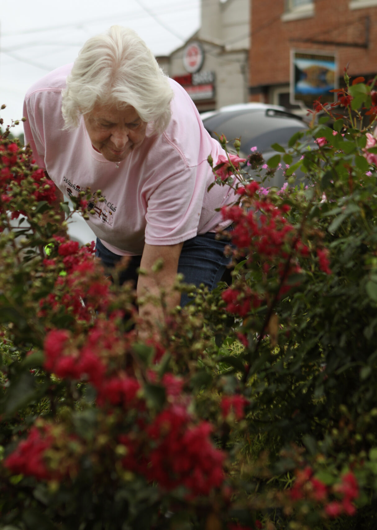 A Washington Garden Club tends to flowers